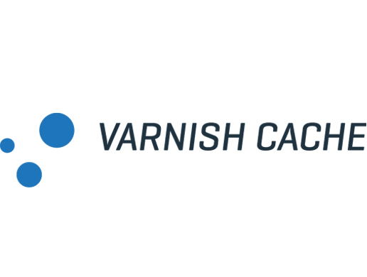 varnish logo