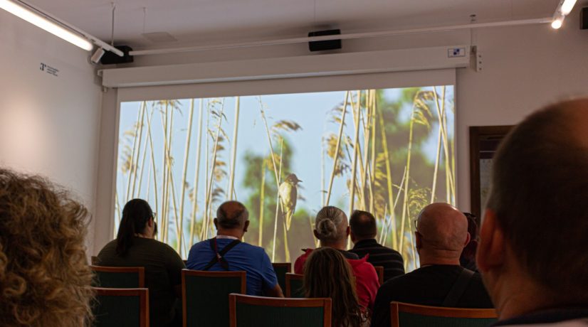 KulenDayz 2022 - Tikveš