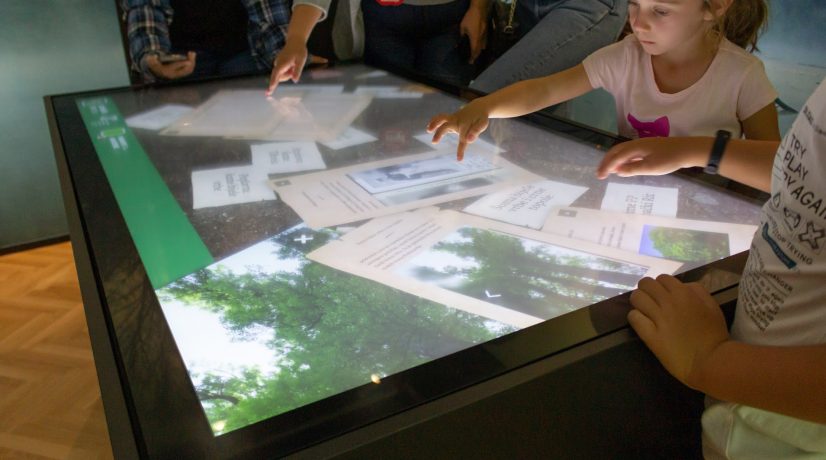 KulenDayz 2022 - Tikveš