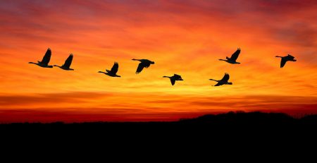 Preparing for Cloud Migration